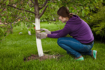 Tree Health And Disease Management